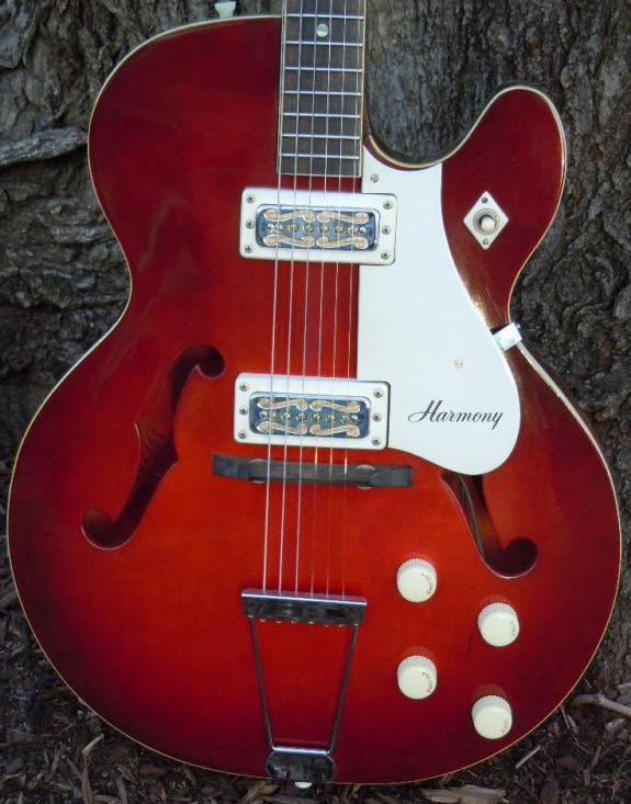 harmony archtop pickguard