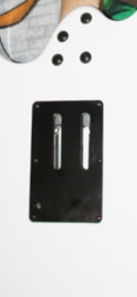 ibanez rg backplate